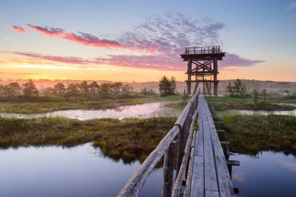 Maagiline rabarada ja päiksetõus | Autor: Sven Zacek
