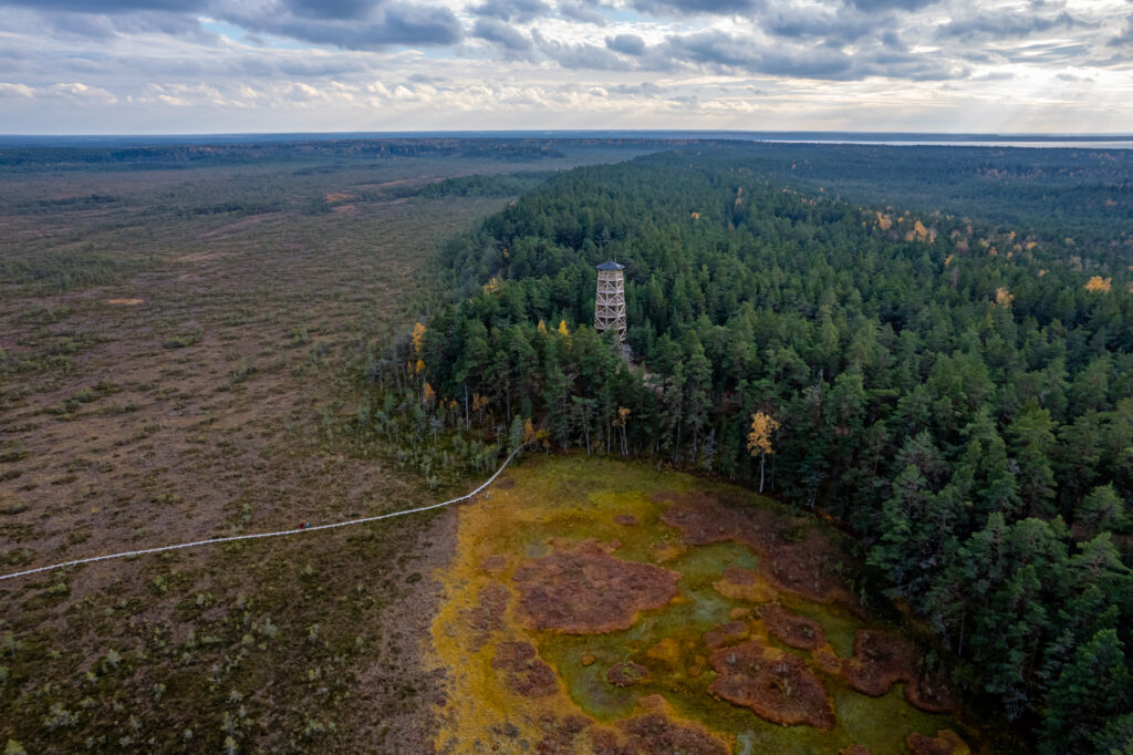 Majakivi matkarada